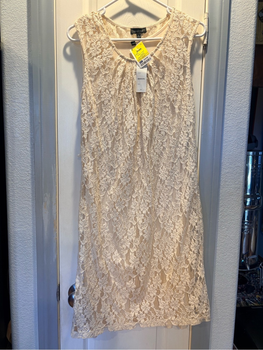 Spense Cream Lace Sleeveless Shift Dress